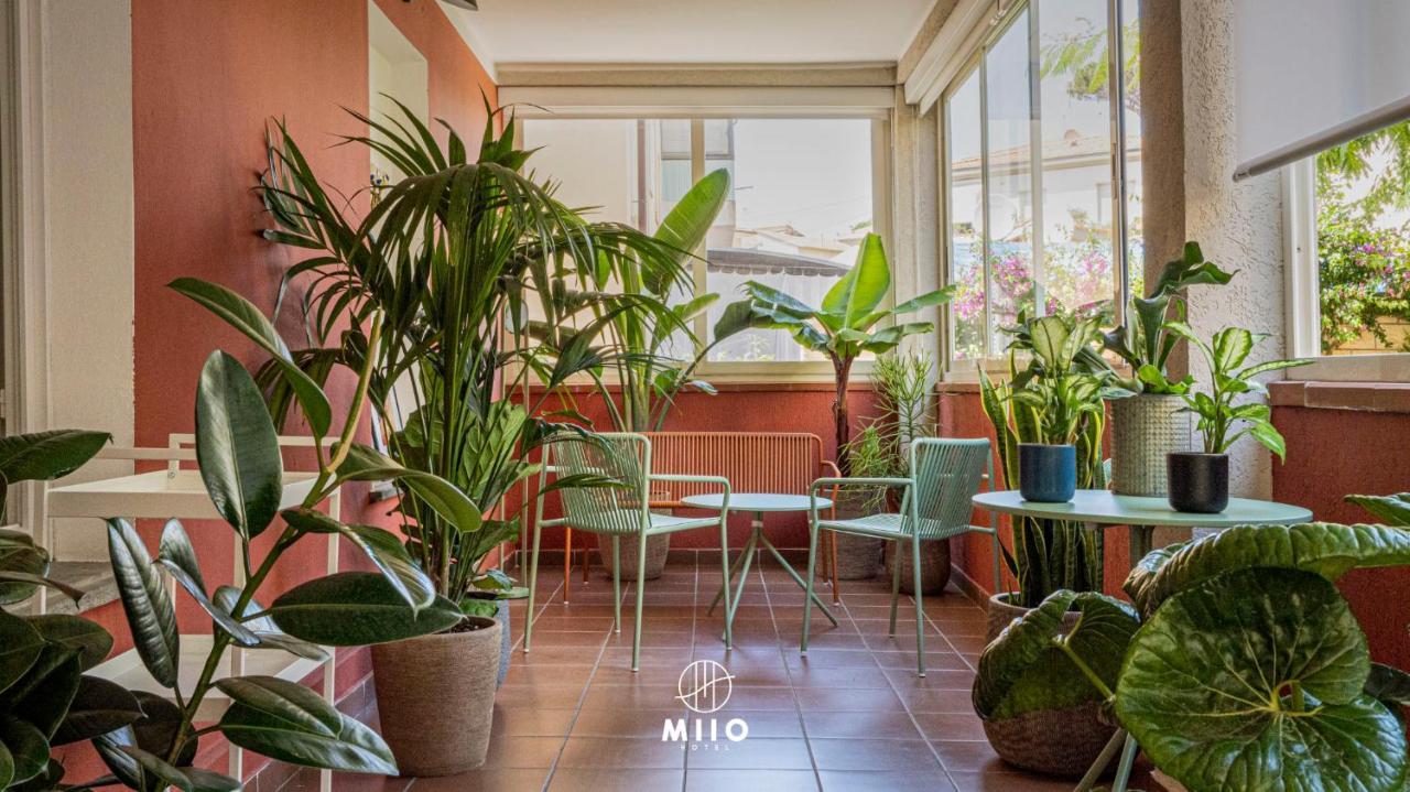 Miio Hotel San Vincenzo Exteriör bild